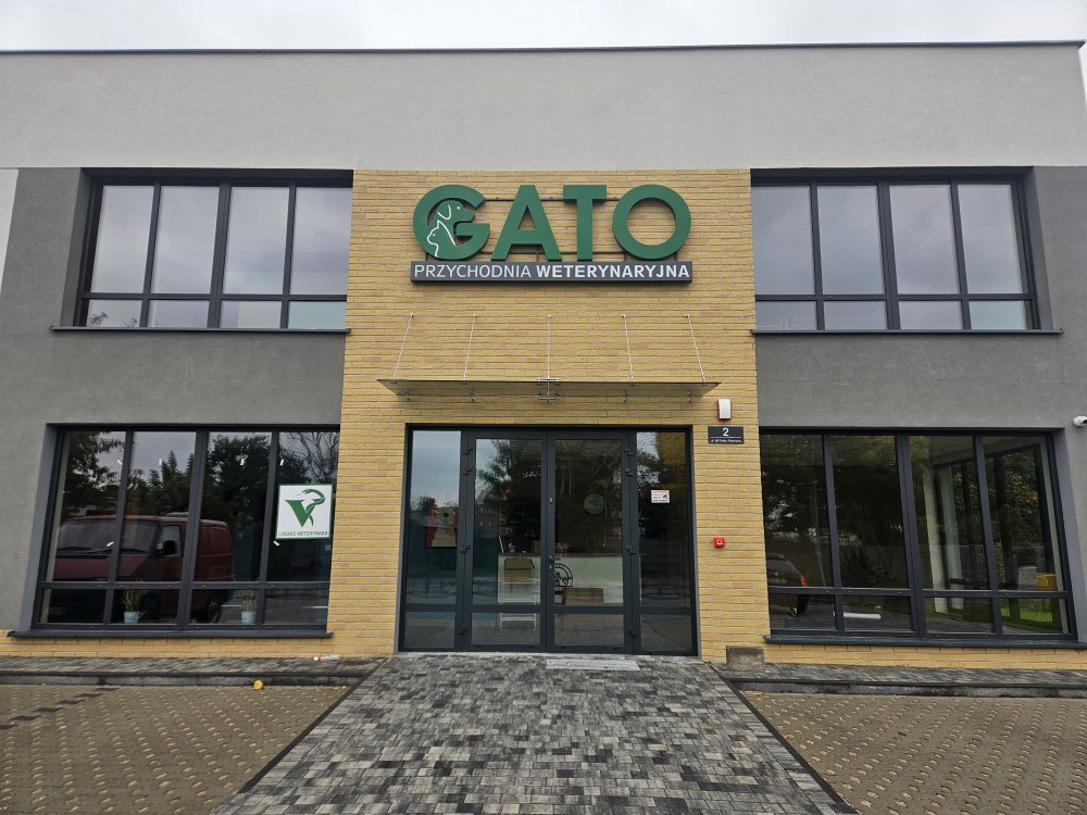 historia przychodni Gato